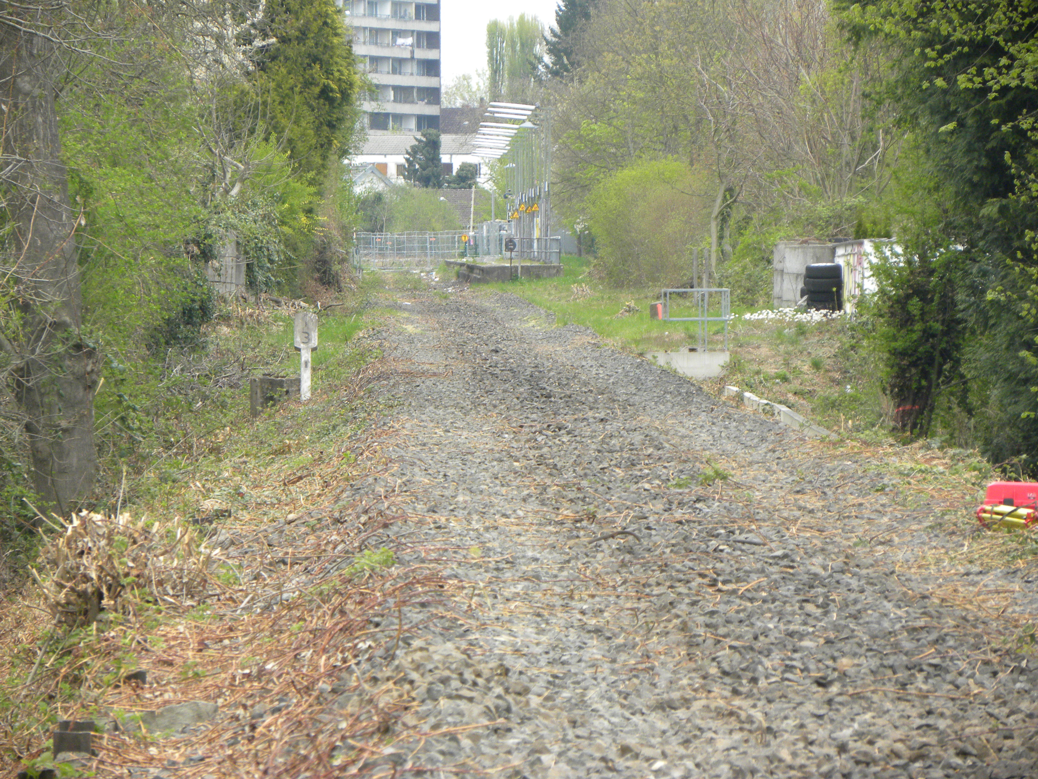 DSCN9388.JPG